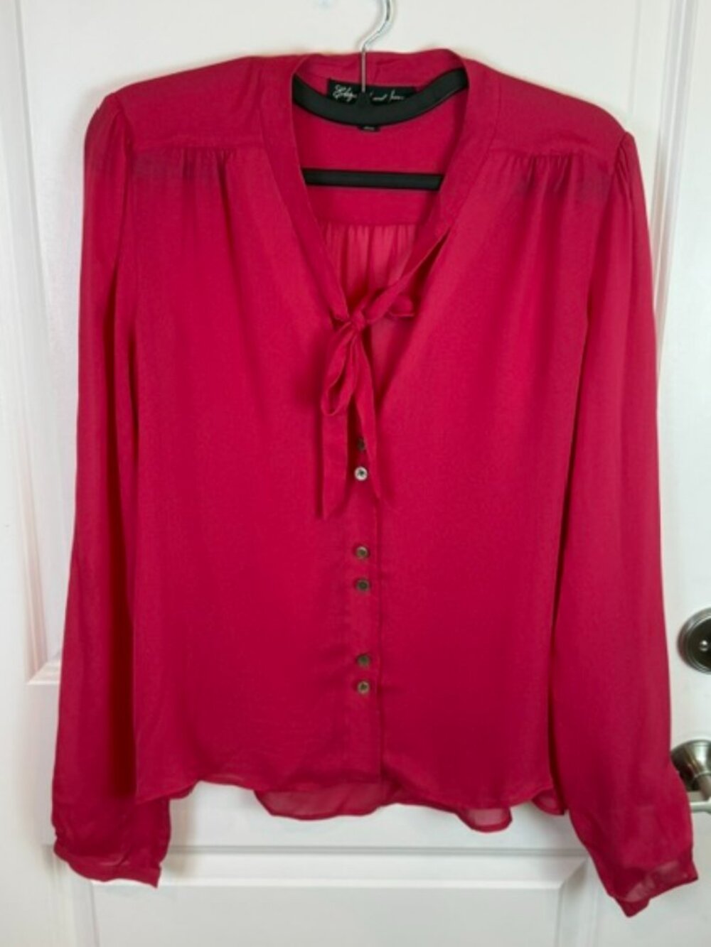 Elizabeth and James Sheer Silk Blouse